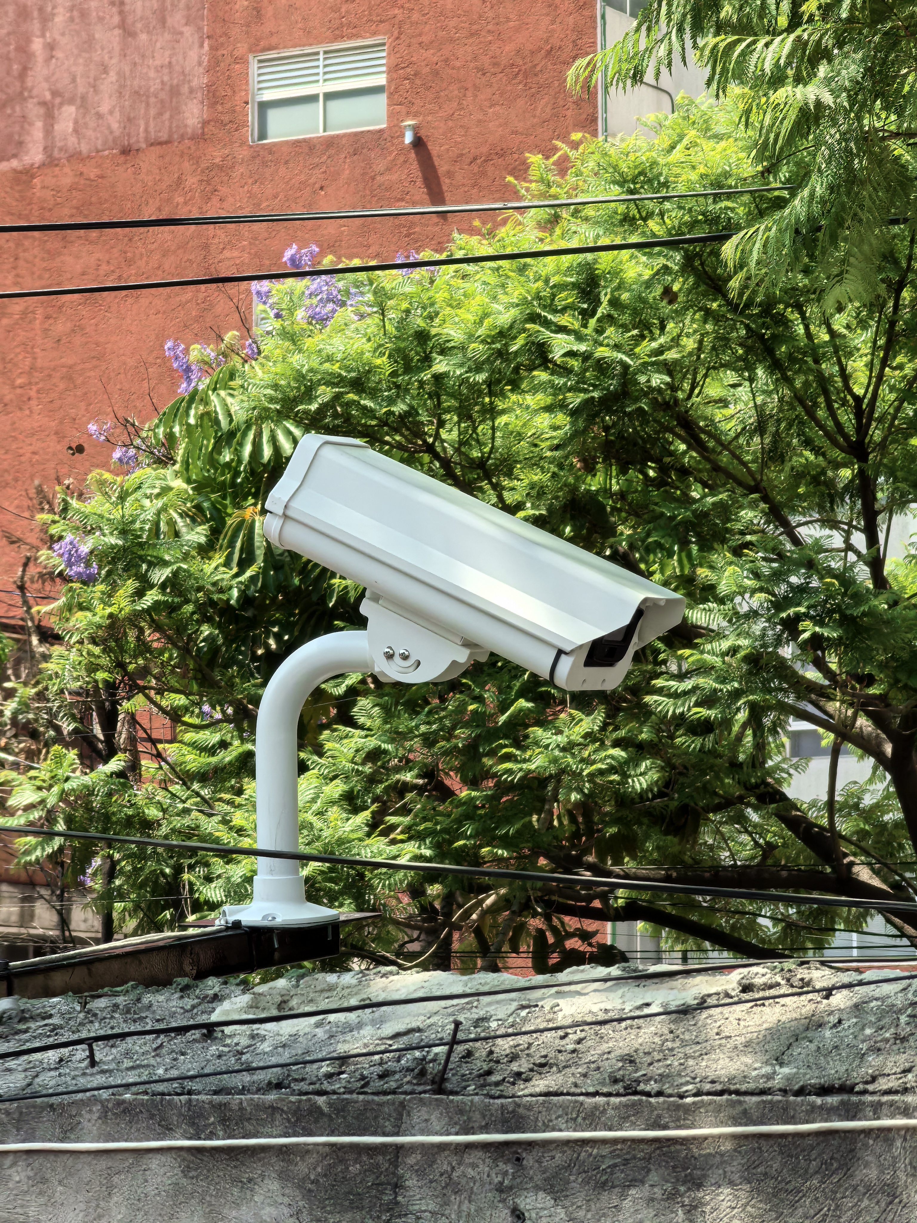 Cámara profesional montada en exterior entre árboles